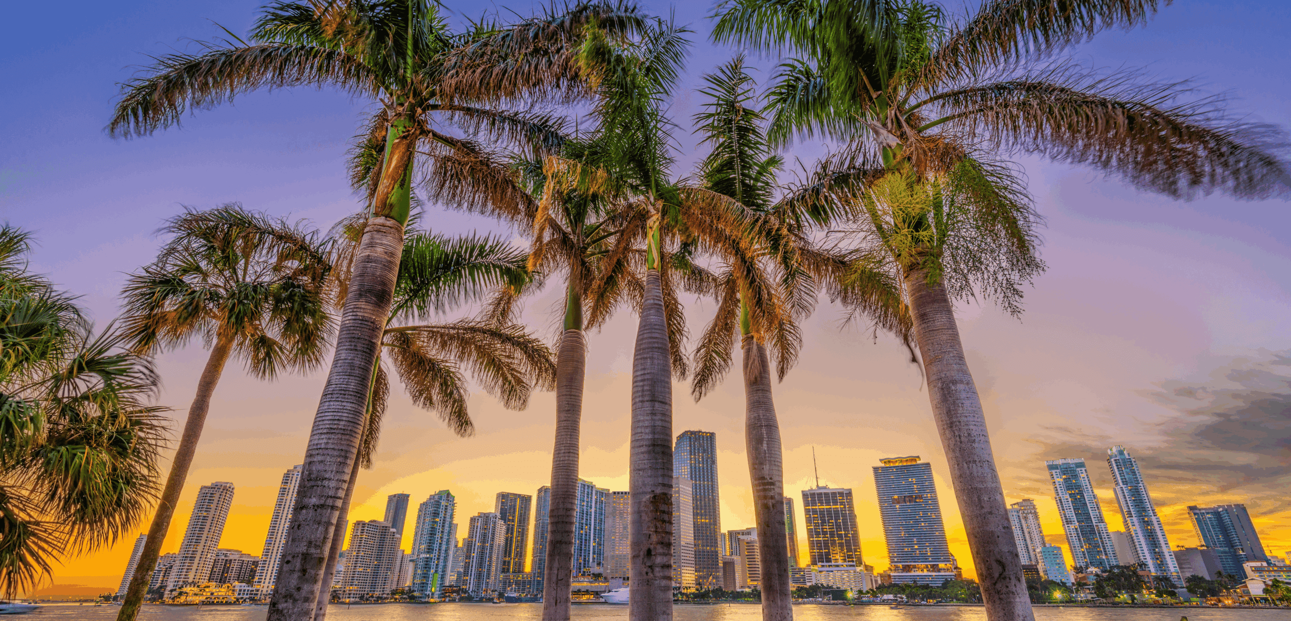Bisayne Bay Miami