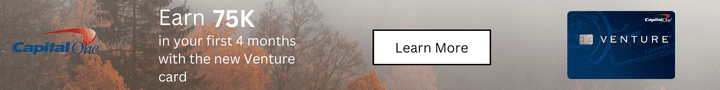 CapitalOne Horizontal Ad