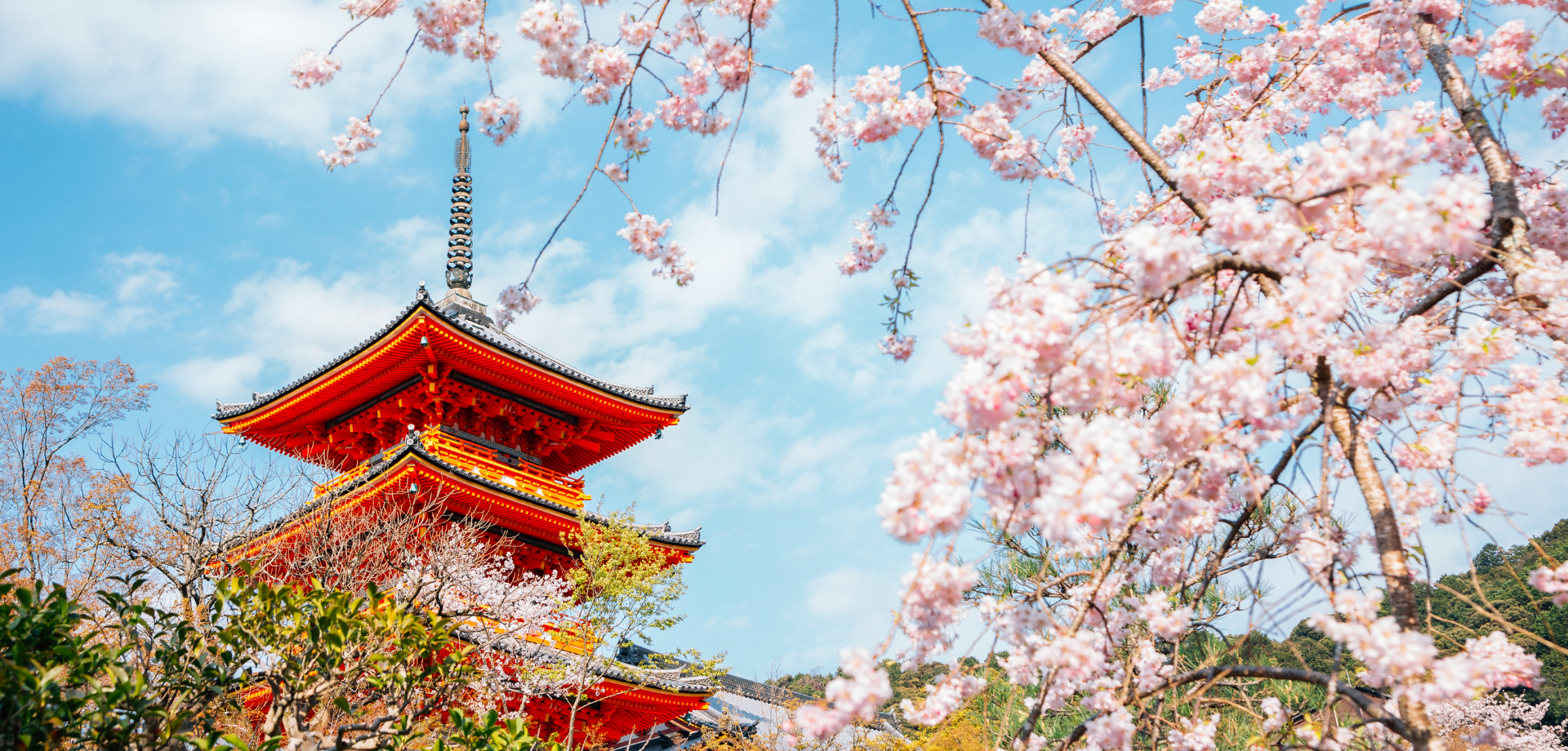 Kiyomizu-dera temple with cherry blossoms at spring in Kyoto, Japan / Sanga Park