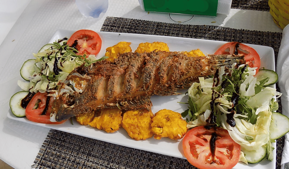 Dominican food, grilled fish, fritters with a side of salad