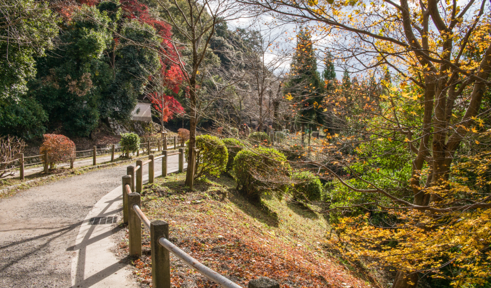 Philosophers Path Kyoto