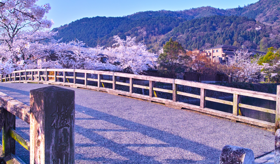 Kyoto Arashiyama / 7maru / Getty Images