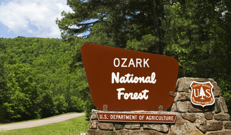 Ozark National Forest Sign